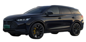 Эва-коврики на Byd TANG DMP